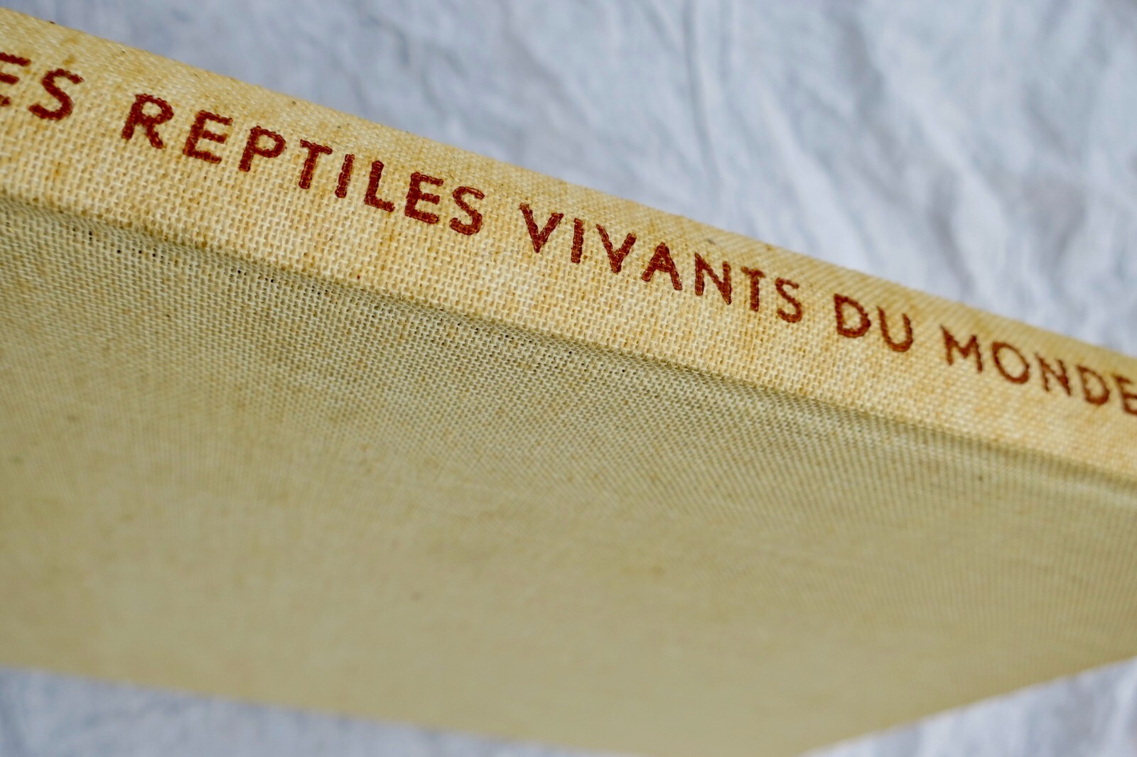 世界の生きた爬虫類<span class="lla-card-orig-wrap"><span class="lla-card-orig">❦ Reptiles vivants du monde 1960</span></span> - La Librairie Antique