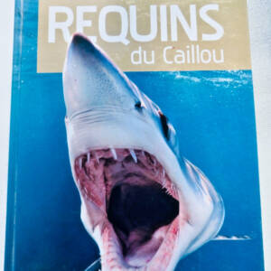 requins du caillou Nouvelle-Calédonie