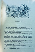 A Love Story During the Terror – Image 13