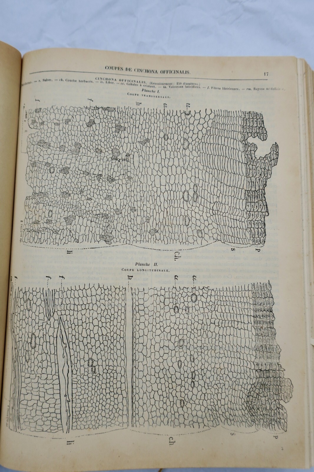 International Geographic Review 1879 - Image 6