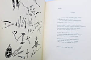 Rimbaud's Vowels Explored