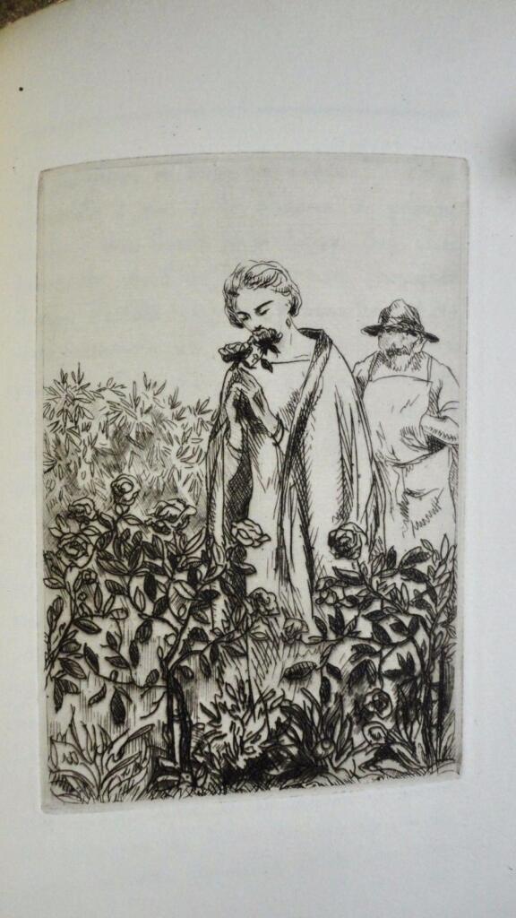 The Life of Jean Vaucanson - Novel