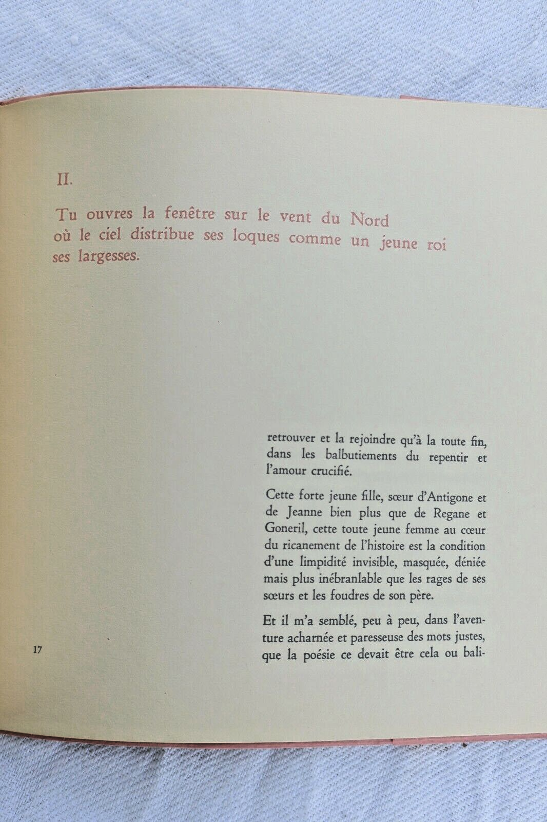 A testimony by Pascal Riou - Image 4