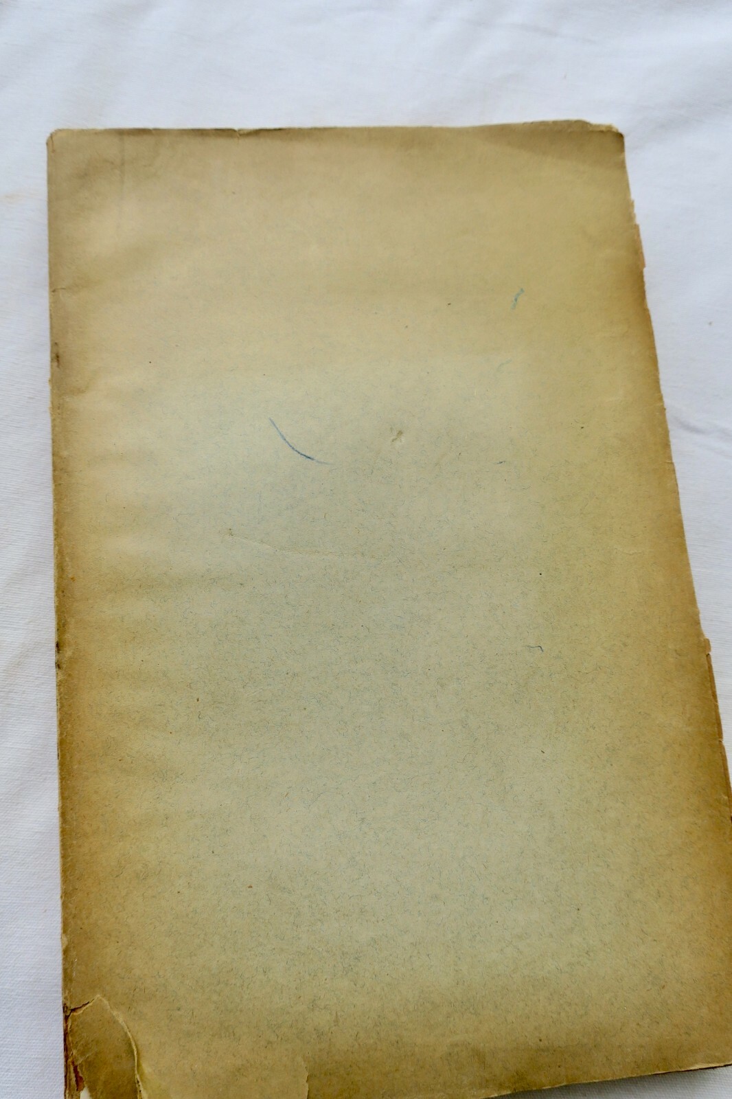 艺术修复实用指南<span class="lla-card-orig-wrap"><span class="lla-card-orig">❦ RIS-PAQUOT Guide pratique du Restaurateur-Amateur de Tableaux, 1890</span></span> - La Librairie Antique