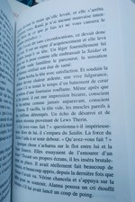 ROBERT JORDAN intégrale ROUE DU TEMPS tomes 1 à 22 + P. Grimbert secret de JI... - Image 40