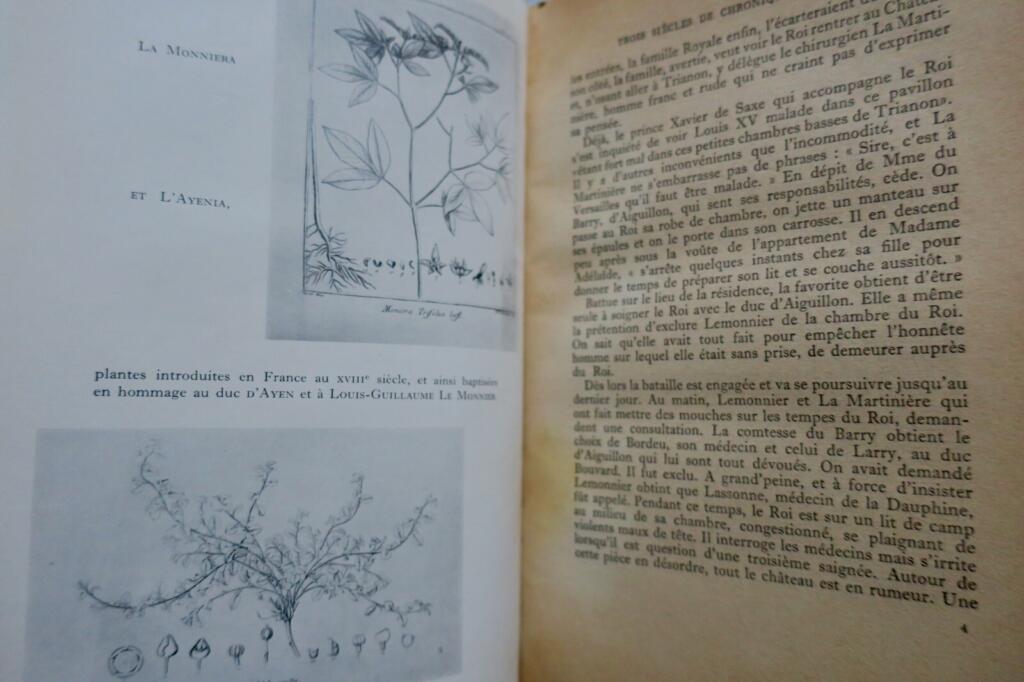 1675年至今的巴黎资产阶级编年史