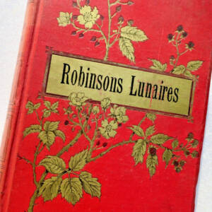 Robinsons Mondabenteuer