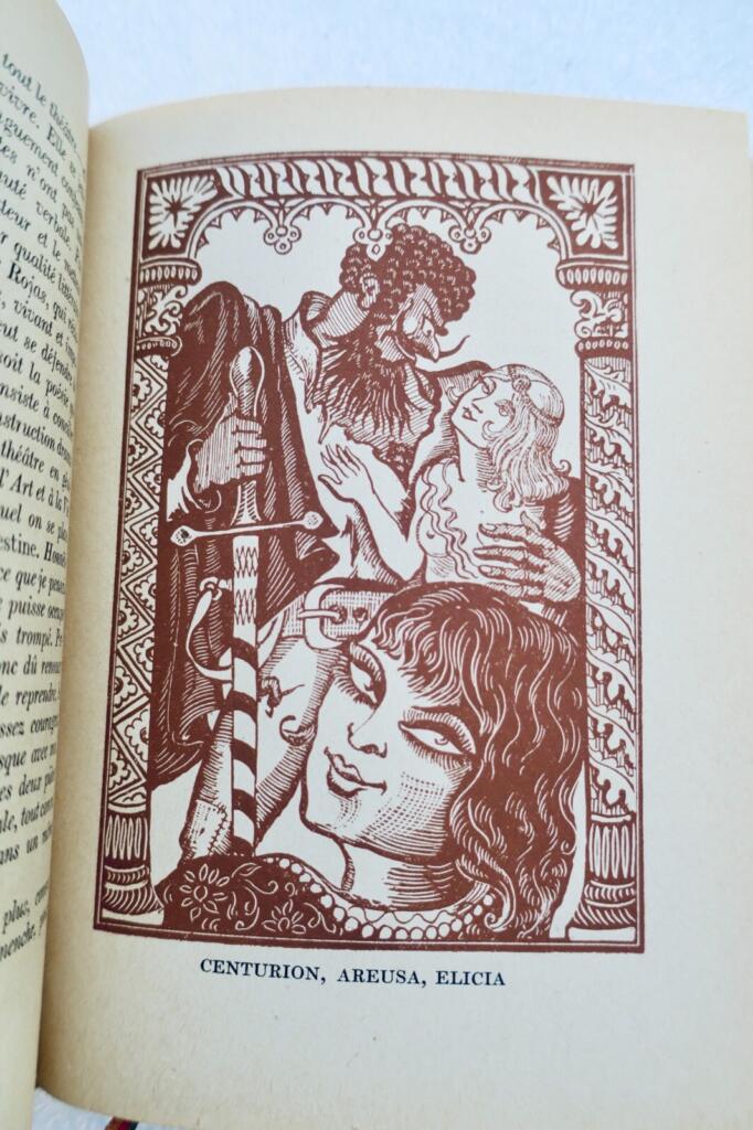 Eine Tragikomödie mit Illustrationen