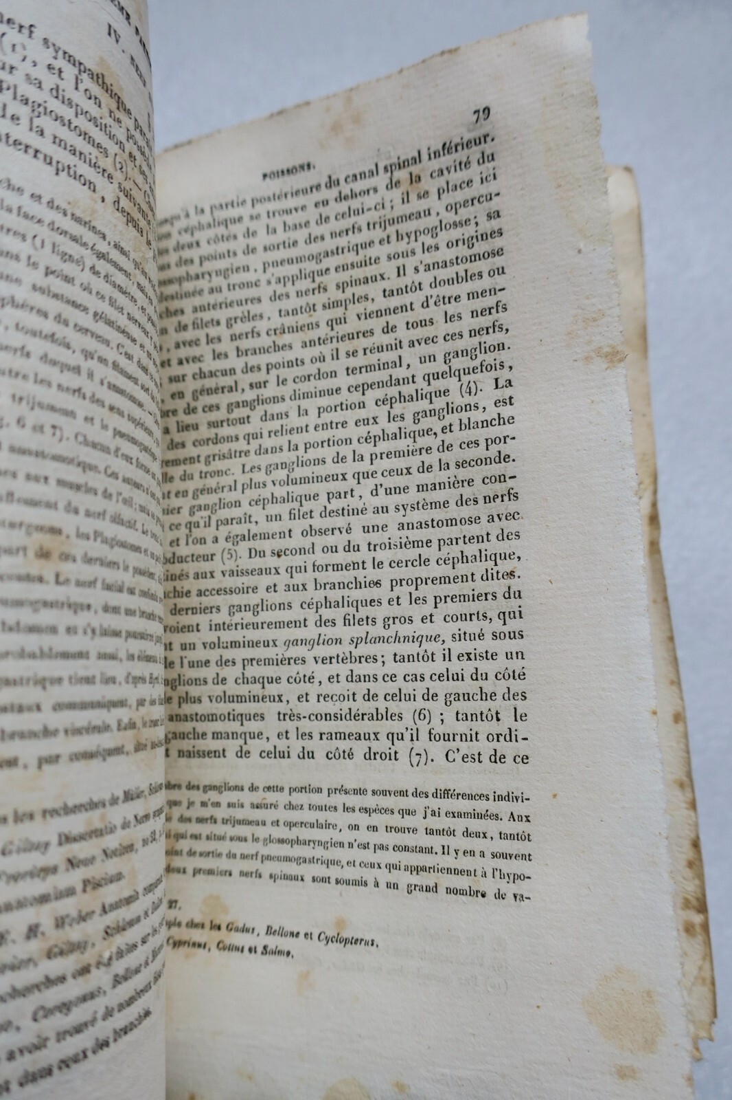 Roret ANATOMIE COMPAREE - ENCYCLOPEDIE RORET 1850 – Image 4
