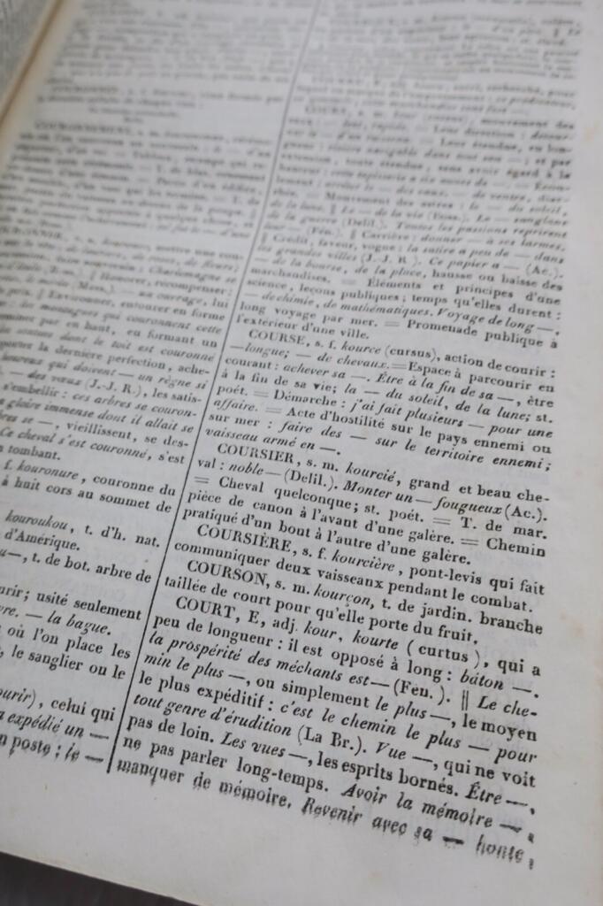 Neues Wörterbuch der französischen Sprache