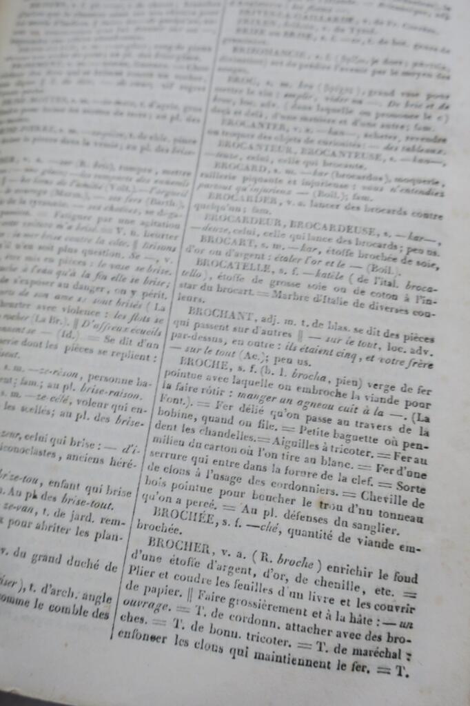 Neues Wörterbuch der französischen Sprache