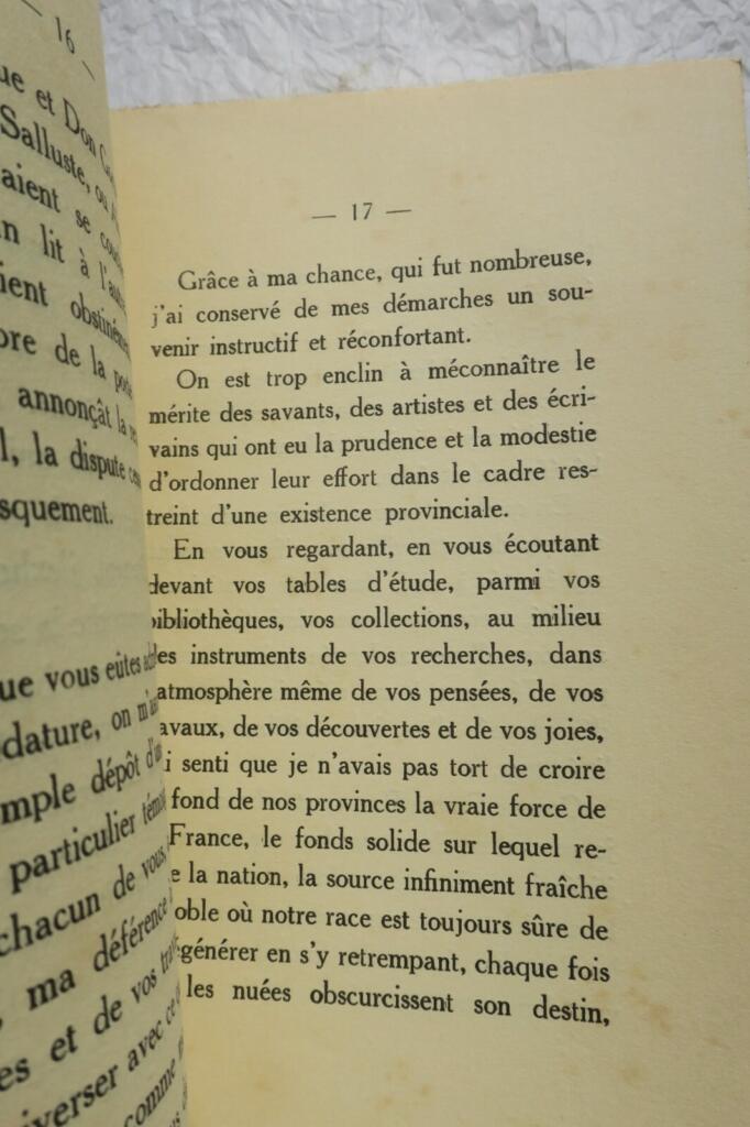 Blick auf Rouen mit Empfangsrede