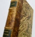 Russen und Slawen: Politische und literarische Studien