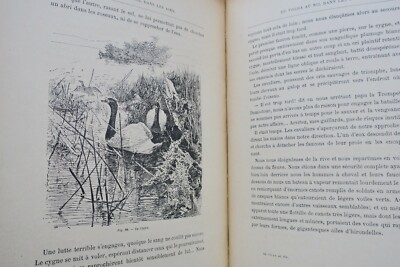 Reise vom Wolga zum Nil - Image 3