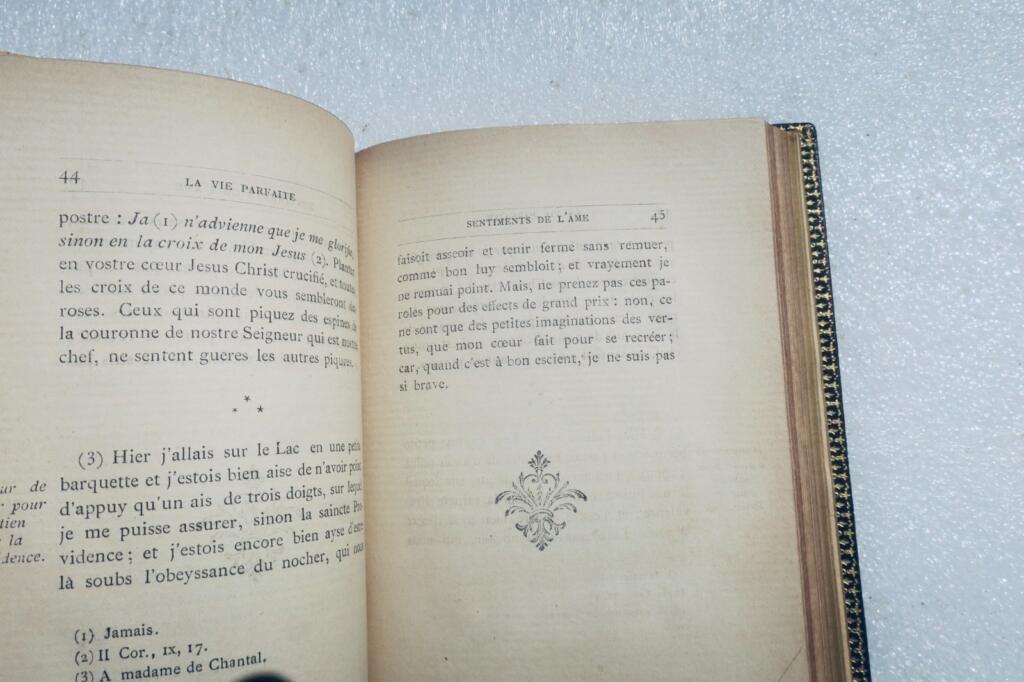 Biografie von Saint Franziskus von Sales