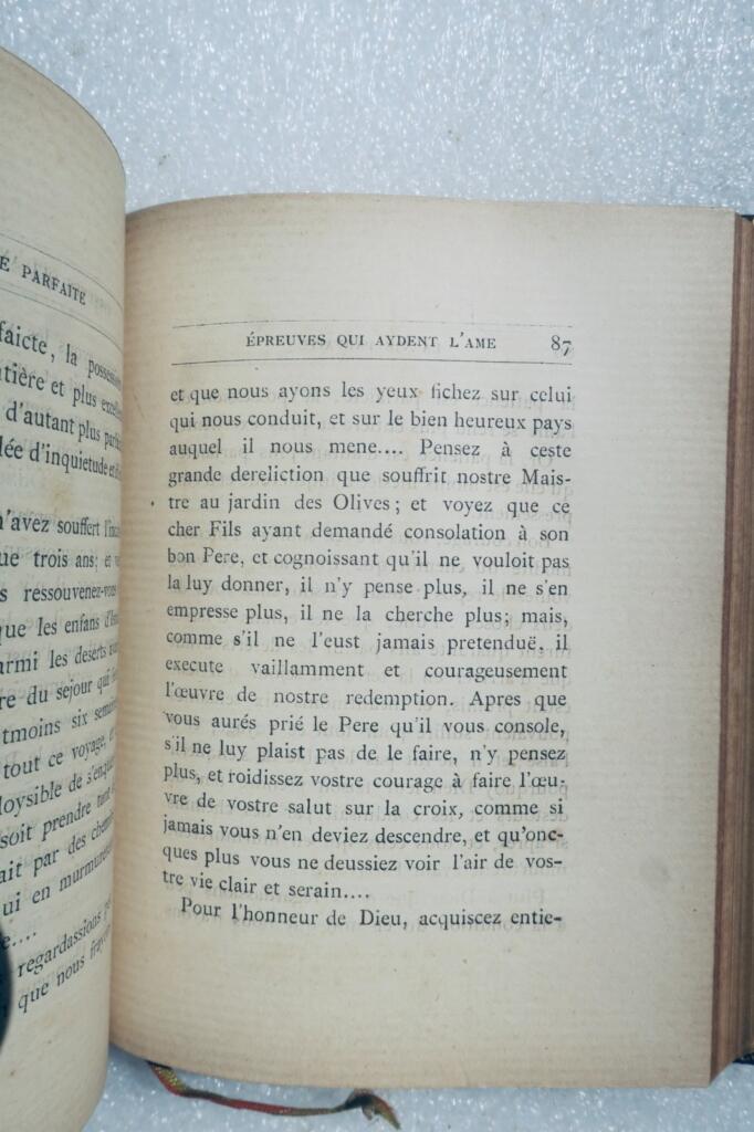 Biografie von Saint Franziskus von Sales