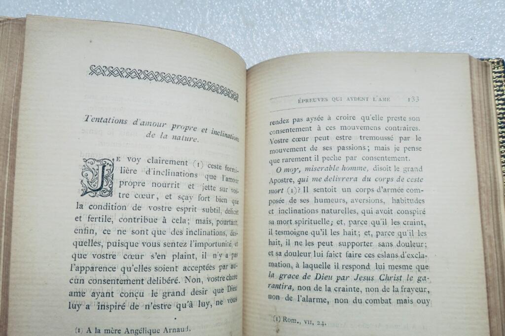 Biografie von Saint Franziskus von Sales