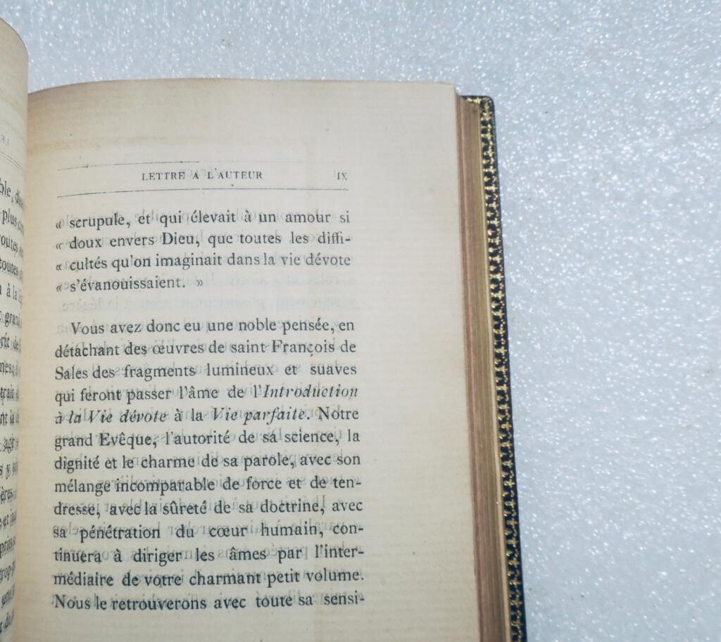 Biografie von Saint Franziskus von Sales