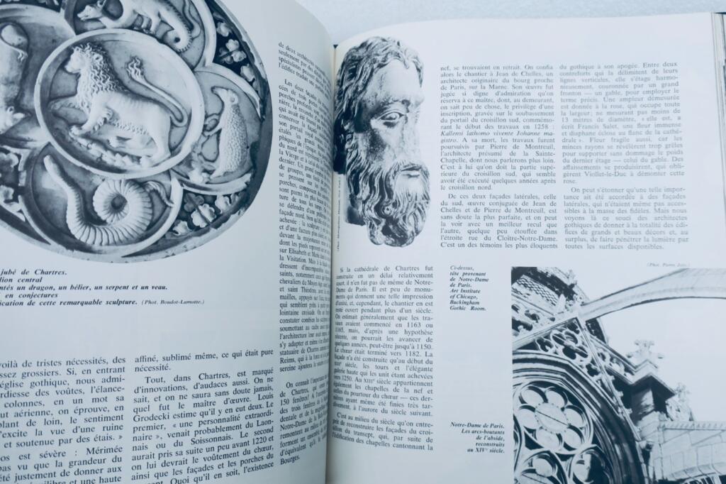 Ludwig IX und seine Zeit