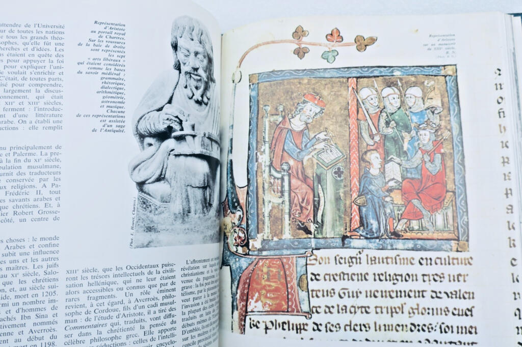 Ludwig IX und seine Zeit