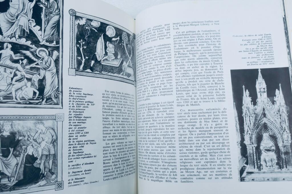 Ludwig IX und seine Zeit