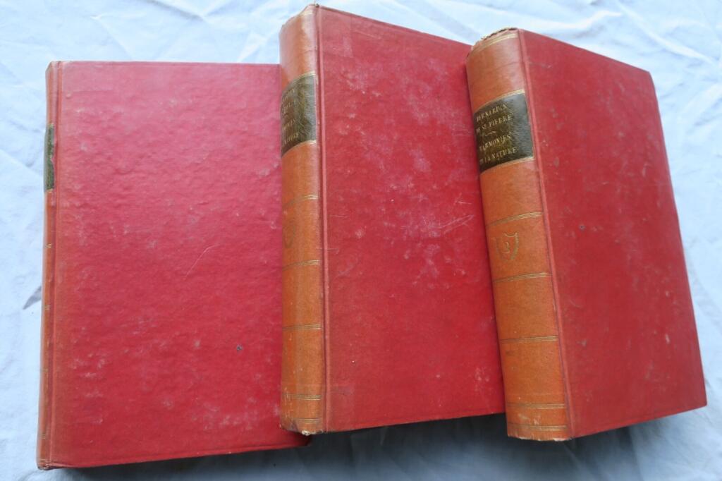 SAINT-PIERRE HARMONIES DE LA NATURE 1815