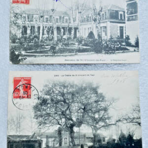 Saint-Vincent de Paul DAX berceau & chêne