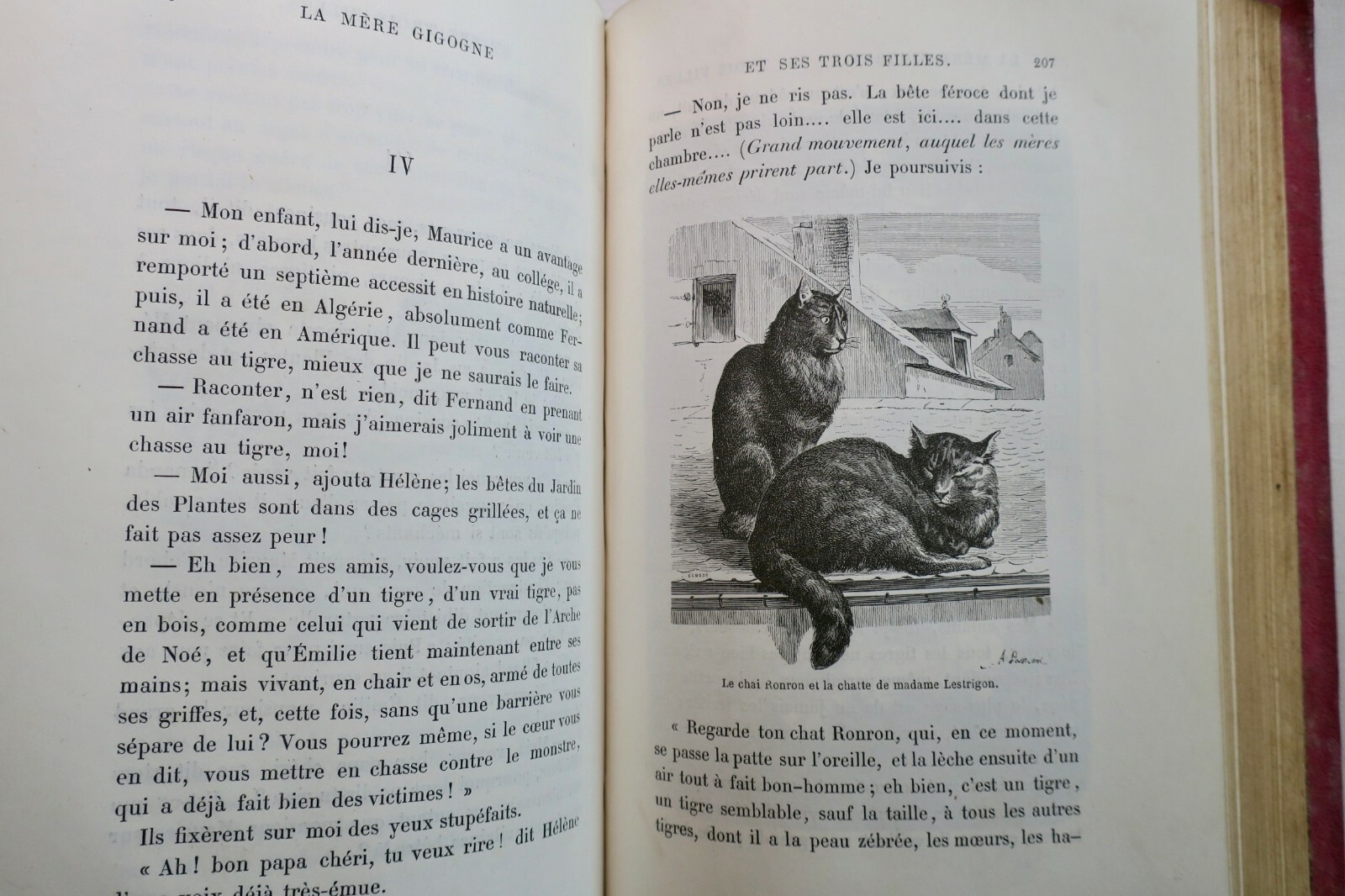 Natural history tales with illustrations - Image 3