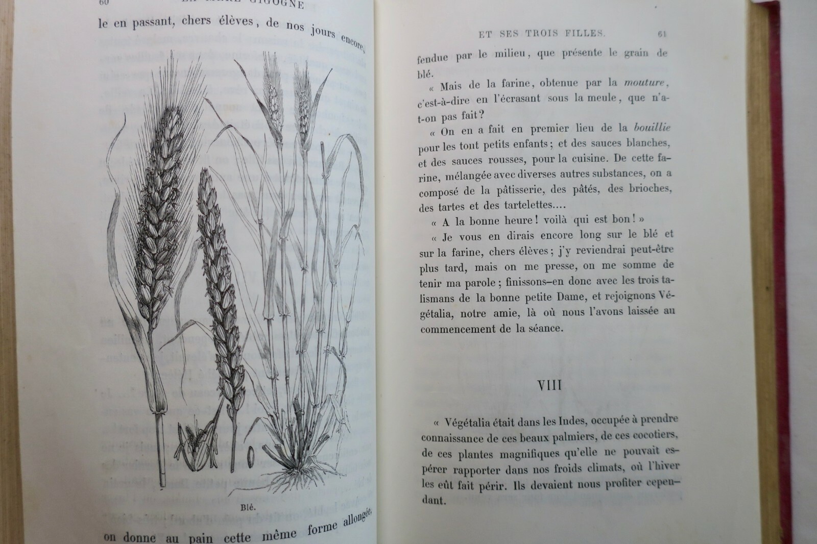 Natural history tales with illustrations - Image 6