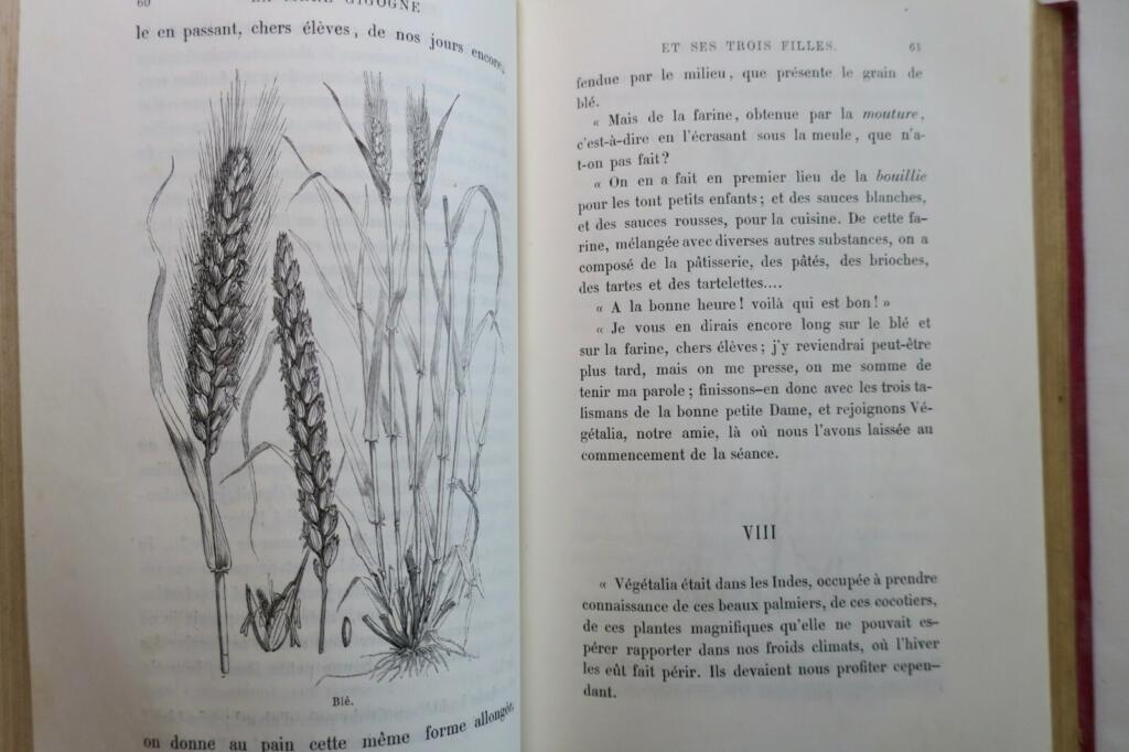 Natural history tales and illustrations