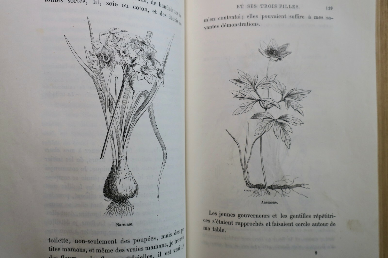 Natural history tales with illustrations - Image 4