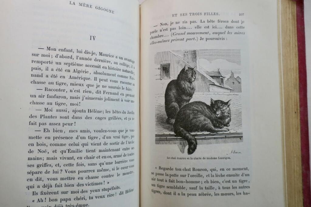 Natural history tales and illustrations