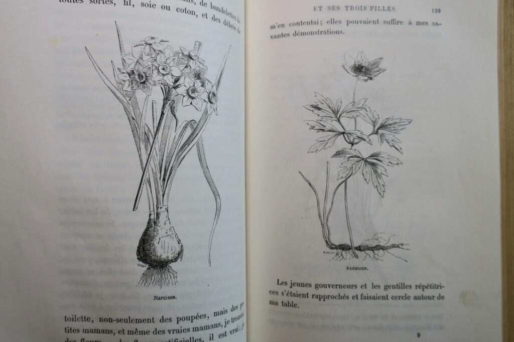 Natural history tales and illustrations