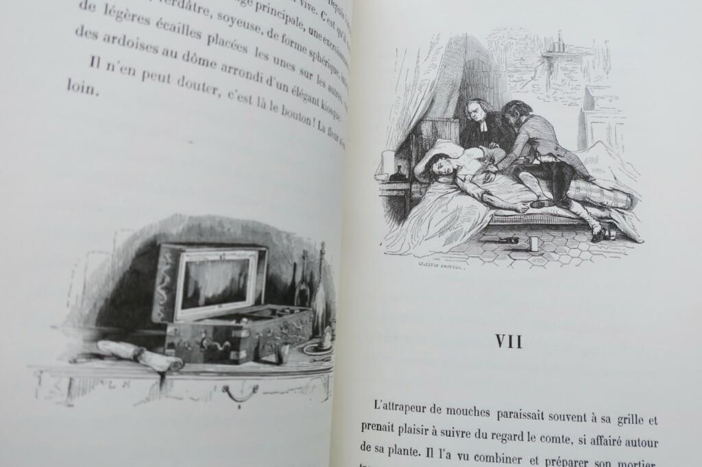 SAINTINE PICCIOLA dessins de C. NANTEUIL…