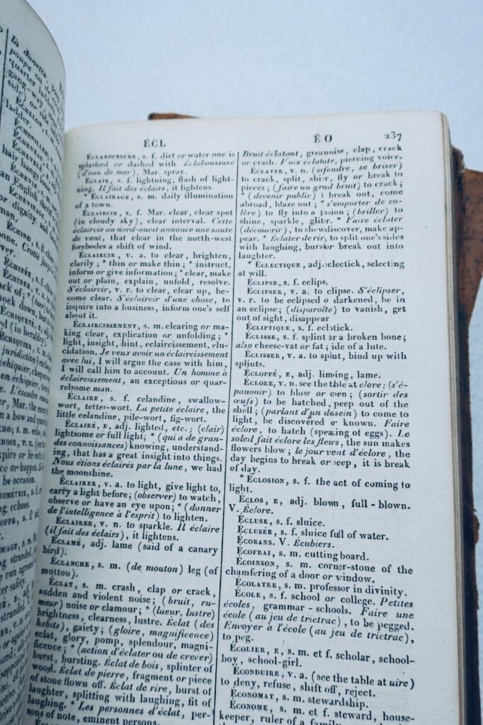 Französisch-Englisches Wörterbuch