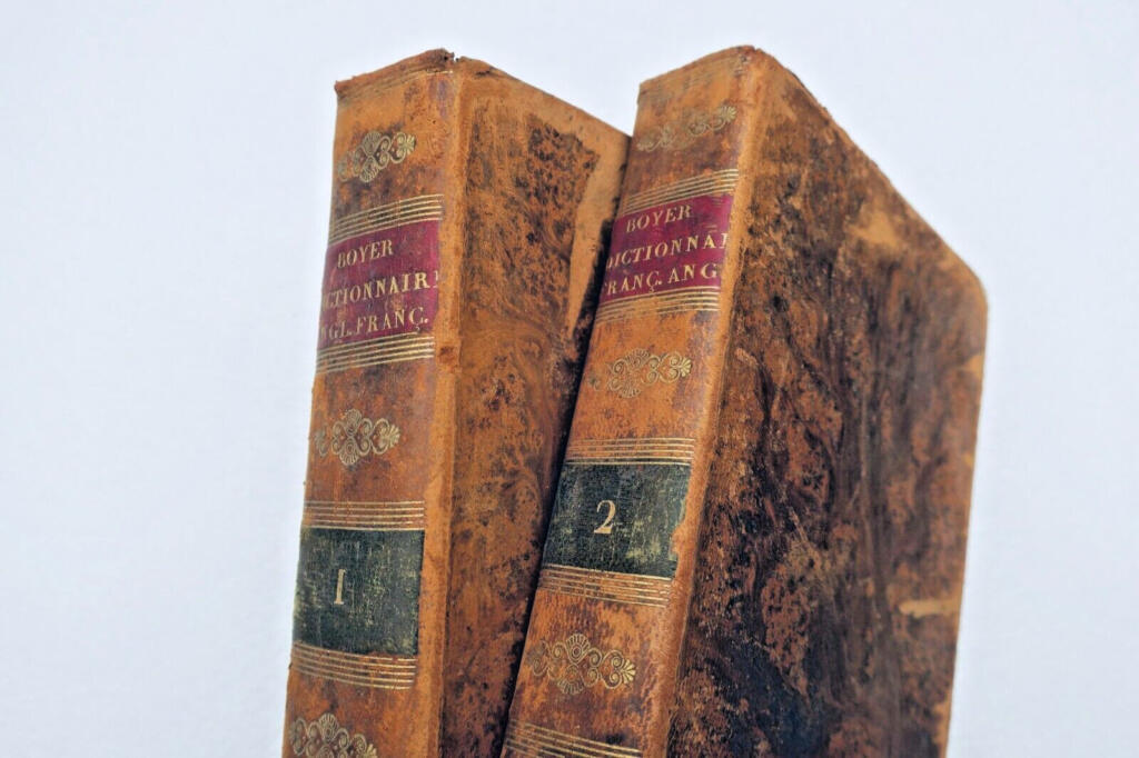 Französisch-Englisches Wörterbuch