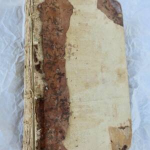 Art Exhibition Review 1808