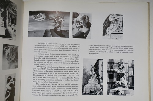 Katalog von Salvador Dalís Ölgemälden - Image 3