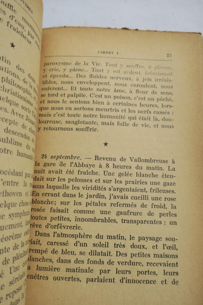 Intime Notizen von Albert Samain