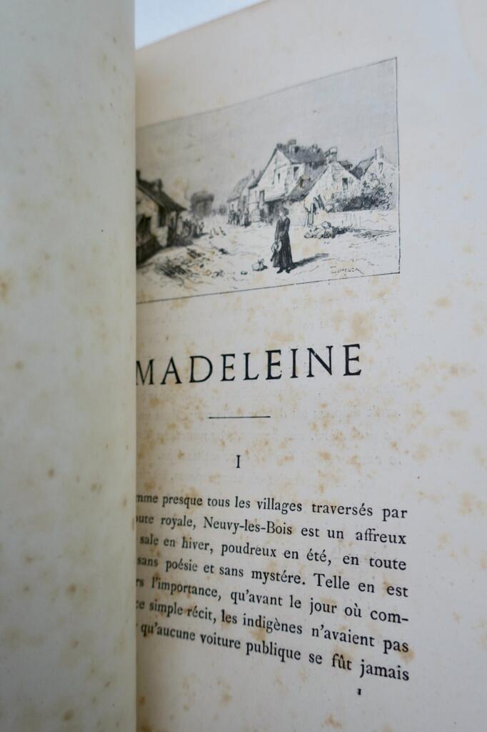 Madeleine - Jugendbuchausgabe