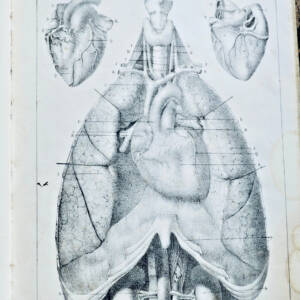 santé Notions d'hygiène pratique 1844