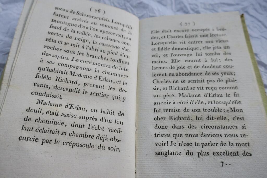 Charming children's tale about a canary