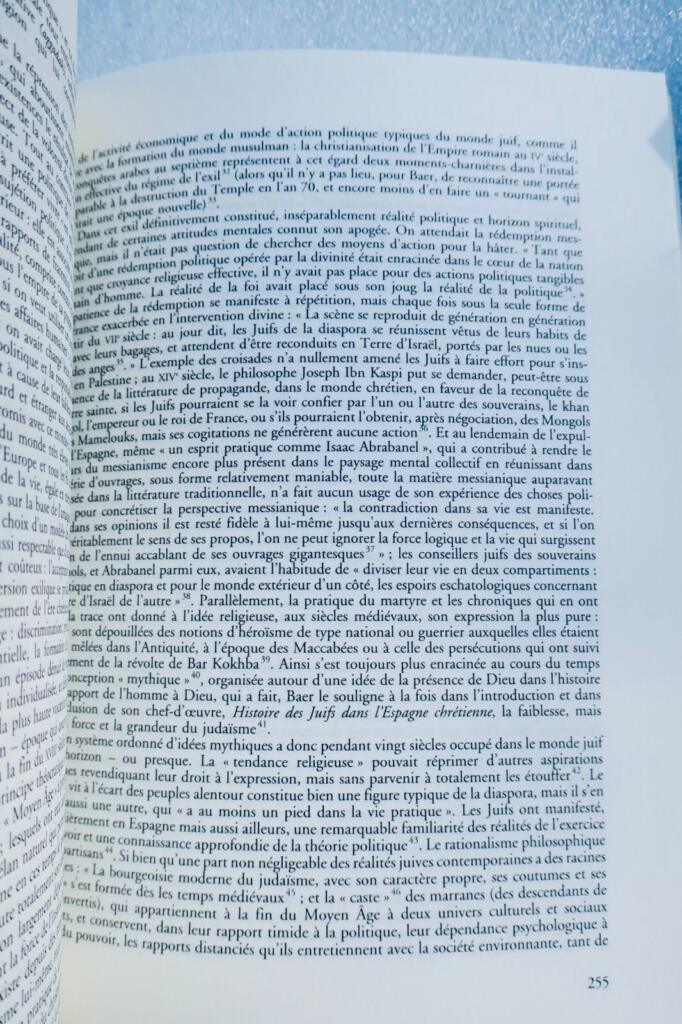 Sammlung über Gershom Scholem