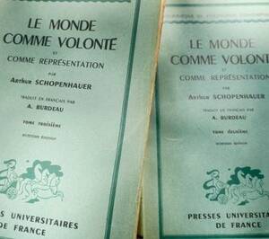 SCHOPENHAUER Il MONDO Come Volontà E Come Rappresentazione