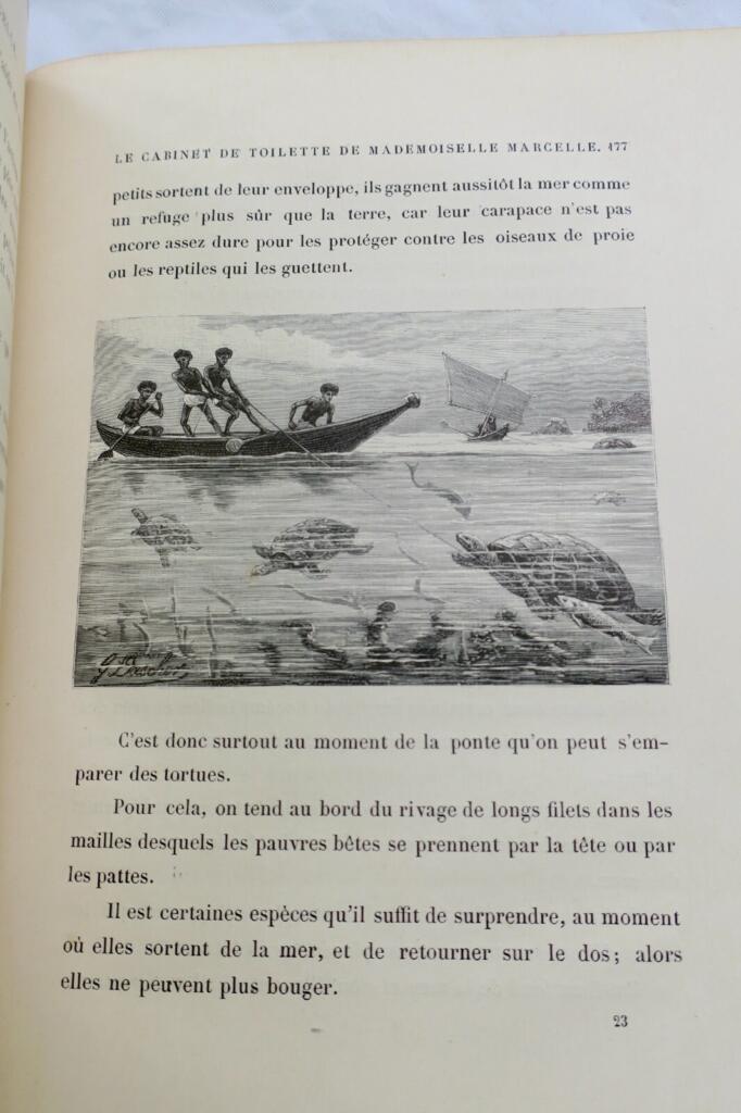 Science Les projets de Mlle Marcelle et les étonnements de M. Robert