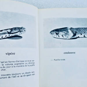 serpent Dumont André Mes vipères
