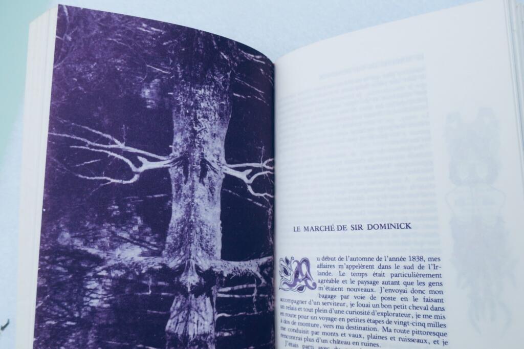 Classic Gothic and Science Fiction collection
