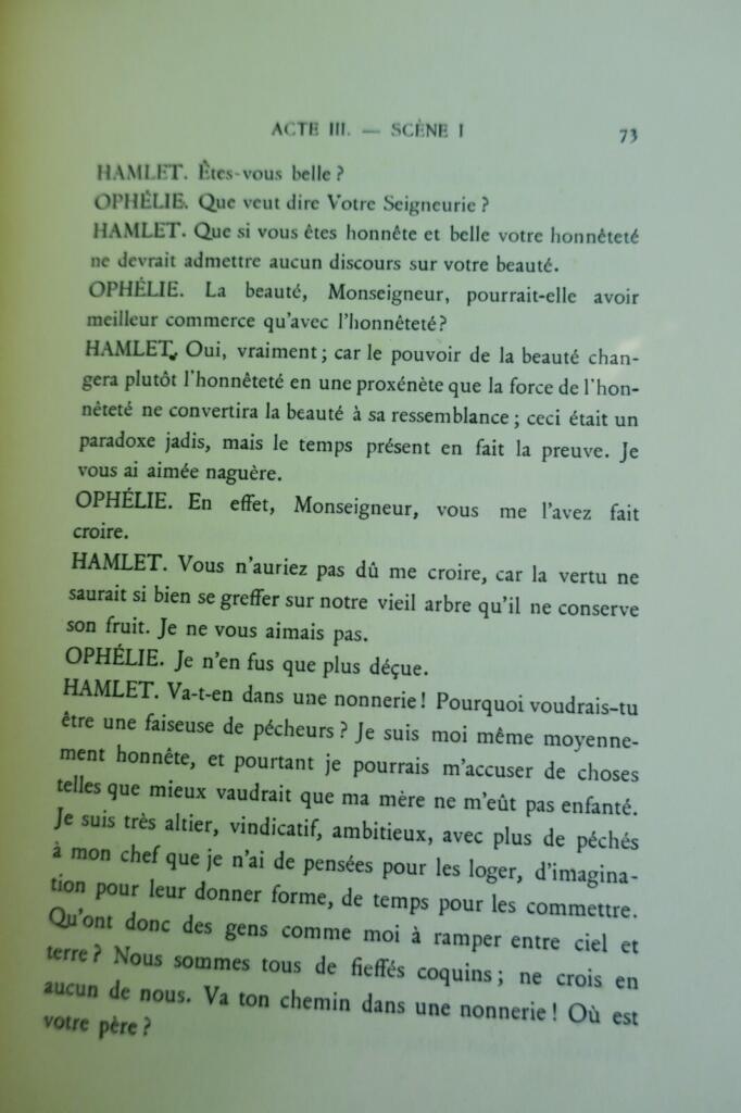 Hamlets tragisches Schicksal illustriert