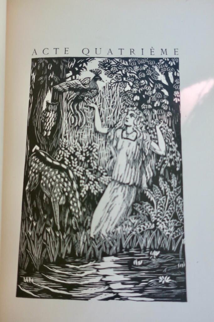 Hamlets tragisches Schicksal illustriert