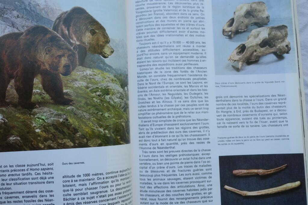 Jägersozietäten: Männer aus der Wildnis